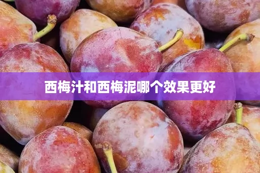 西梅汁和西梅泥哪个效果更好