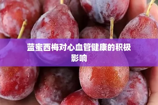 蓝蜜西梅对心血管健康的积极影响