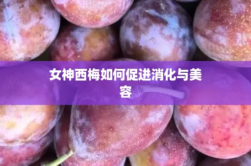 女神西梅如何促进消化与美容