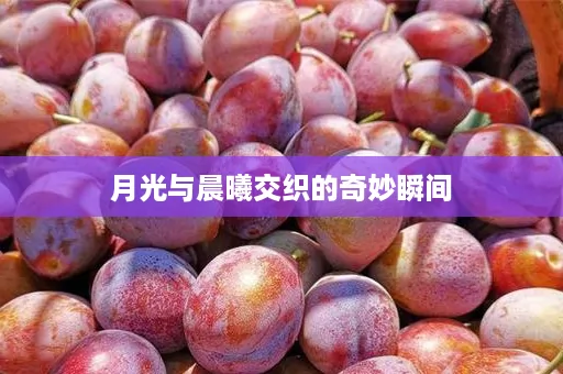月光与晨曦交织的奇妙瞬间