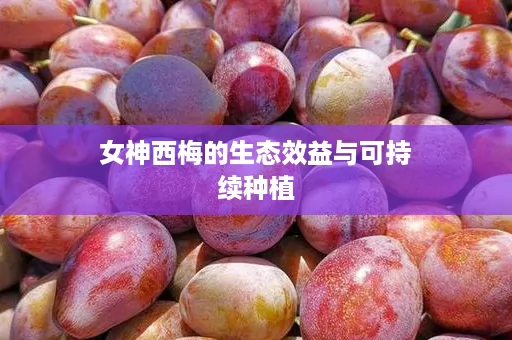 女神西梅的生态效益与可持续种植