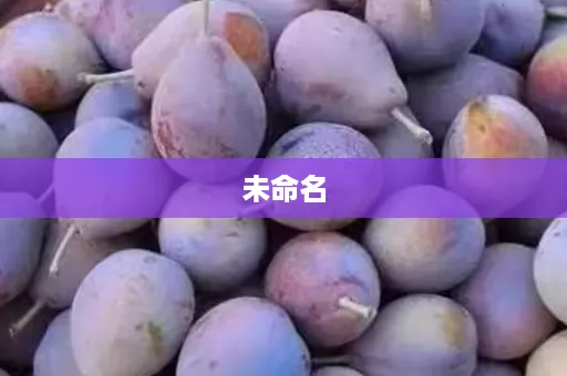 未命名