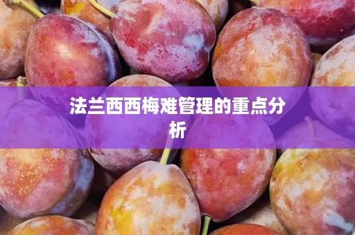 法兰西西梅难管理的重点分析